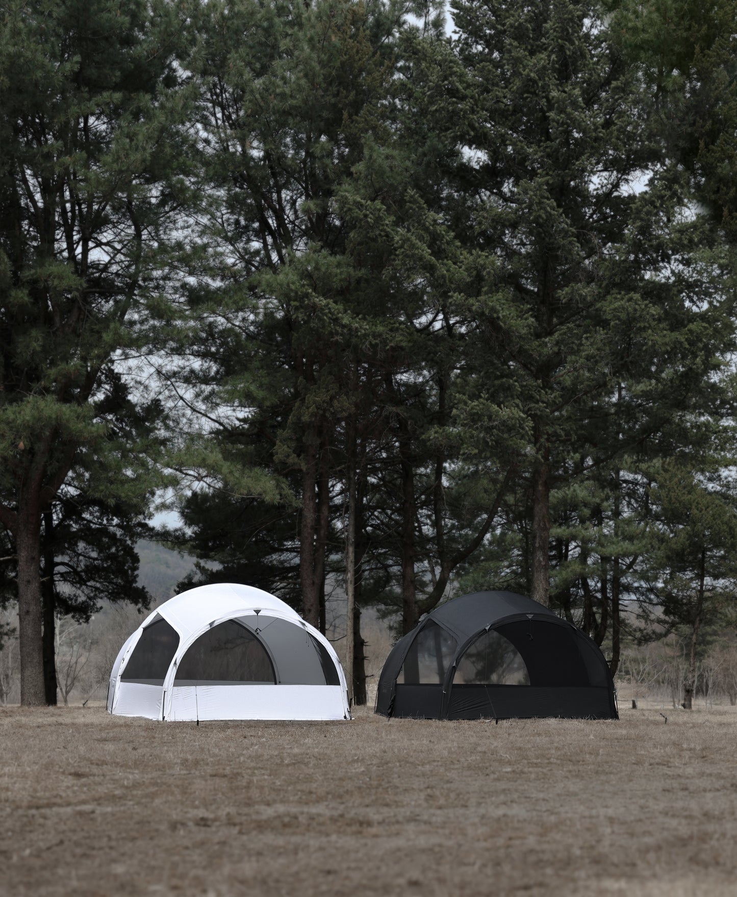 Groundcover MOLE.T HAUS Tent Mini 隧道帳幕