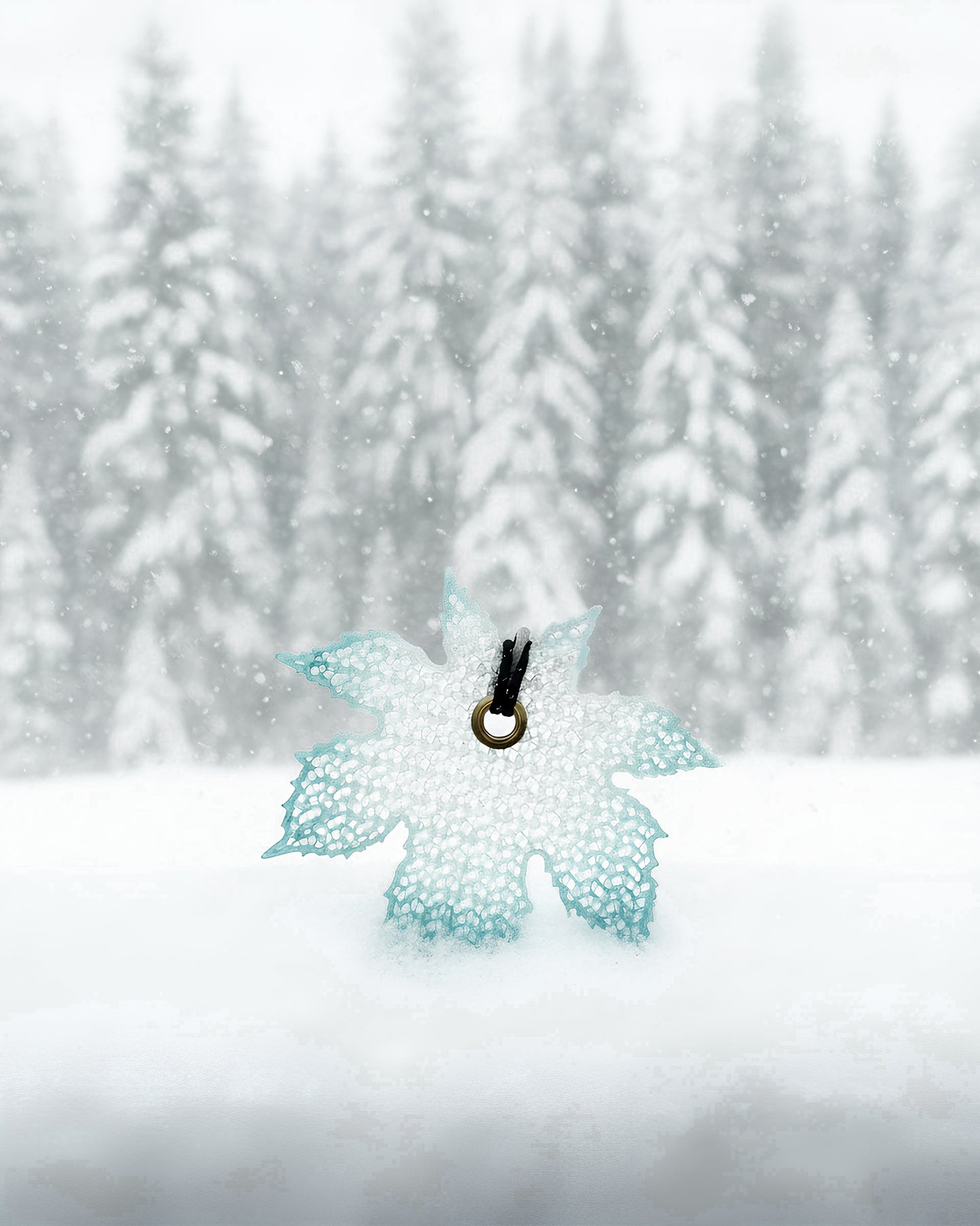 Design Studio Bergchen x Nothingblue 冬版 夜光葉子