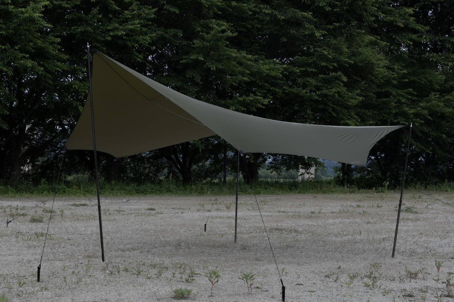 Groundcover Hexa Tarp 7 sides 七角天幕