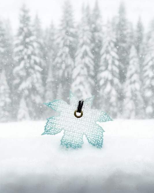 Design Studio Bergchen x Nothingblue 冬版 夜光葉子