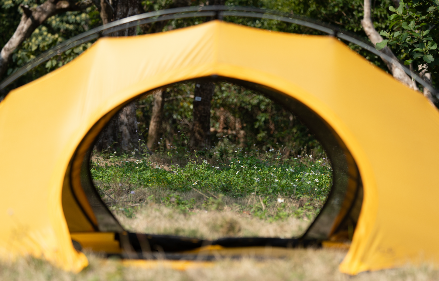 Nothingblue x Pretents - Lightrock 1p [Yellow Sunflower向日葵色] (Preorder預售)